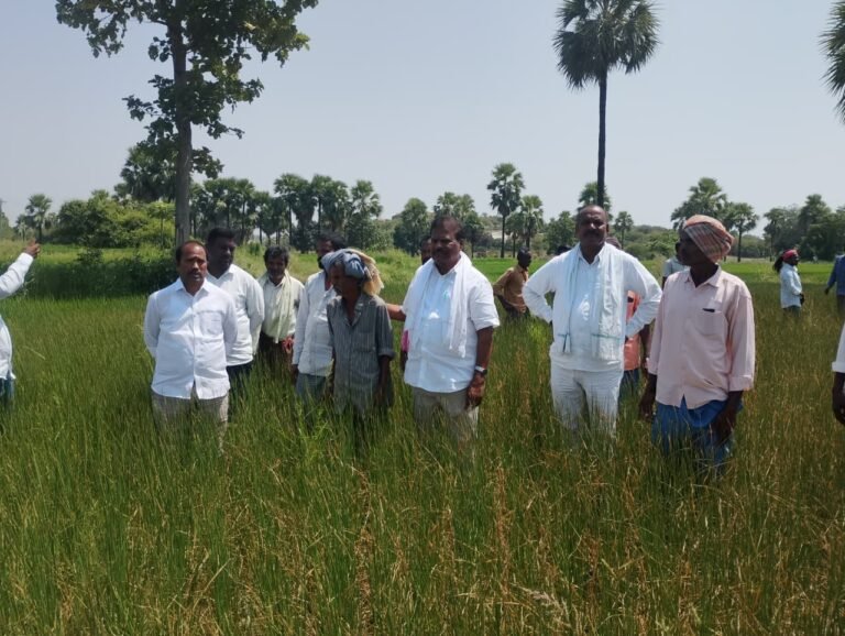 కల్వకుర్తిలో కరెంటు సెగ.. ఎండిపోతున్న పంటలపై బీఆర్ఎస్ నేతల ఆగ్రహం